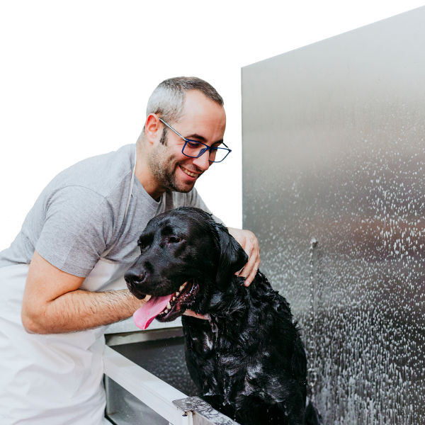 dogwash-tub-600x600