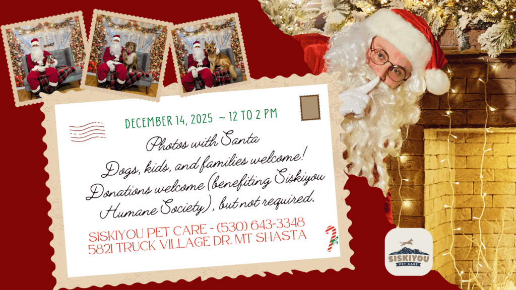 Photos with Santa!