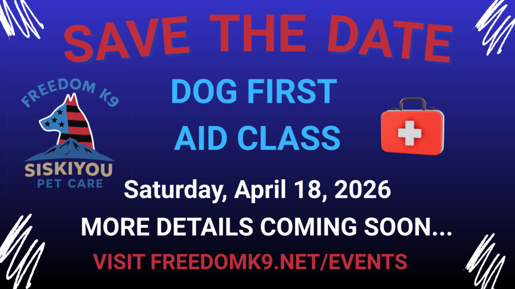 Dog First Aid Course
